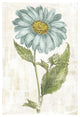 "Bloemen Boek VI" Digital Paper Print by Sue Schlabach, 26"x38"