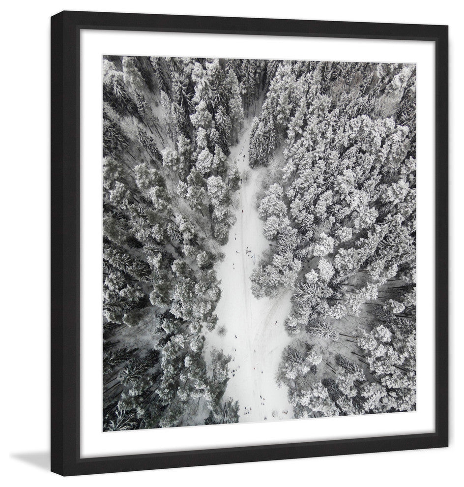 "Path Among Giants" Framed Print by Karolis Janulis