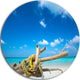 Deadwood On White Sand Beach, Contemporary Seascape Round Wall Art, 23"