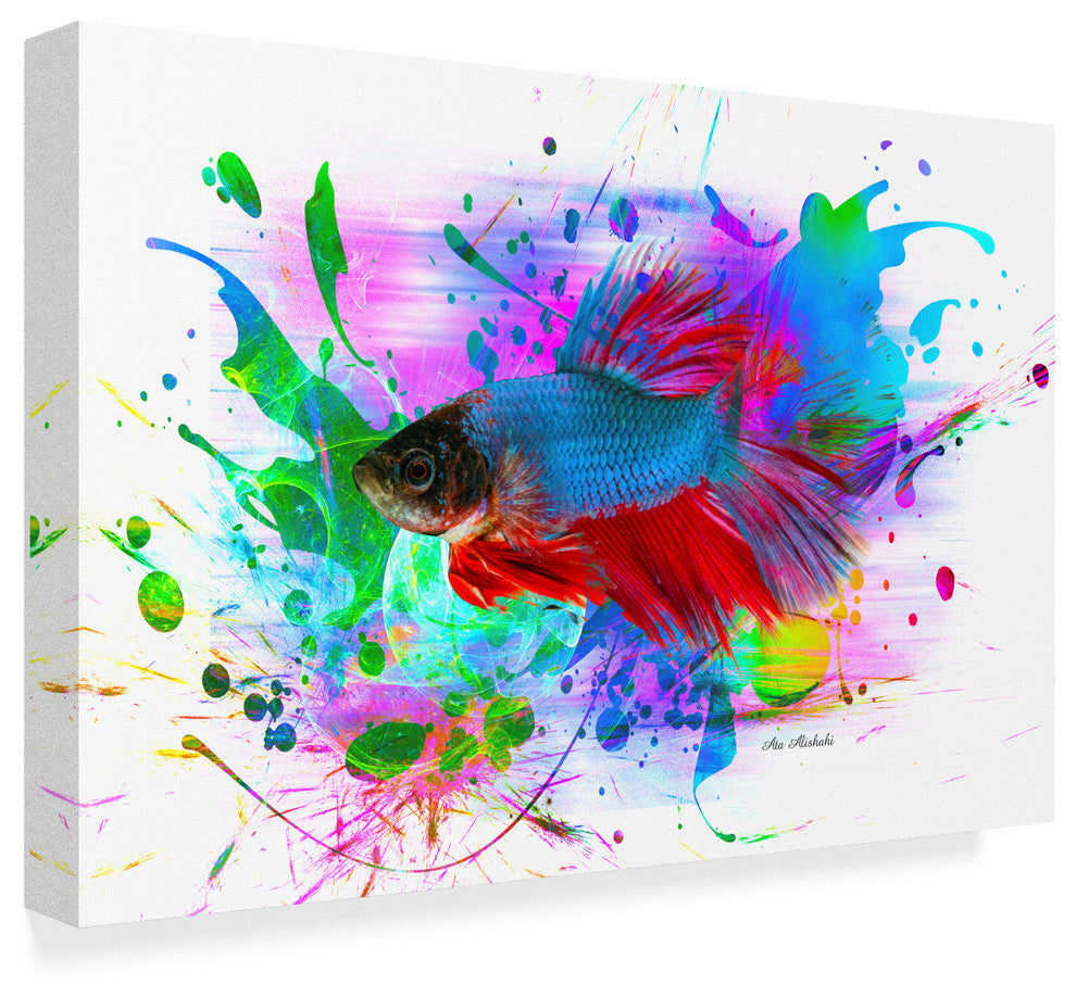 "Fish And Colors" by Ata Alishahi, Canvas Art, 16"x24"