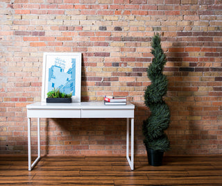Lifestyle image: shows the pine plant in a real room environment (brick wall, desk) with the full tree visible.