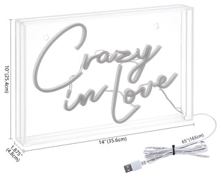 Crazy, Love 14" X 10" Acrylic Box USB Operated LED Neon Light, Red