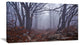 "Dark Foggy Forest in Autumn" Landscape Canvas Photo Print, 32"x16"