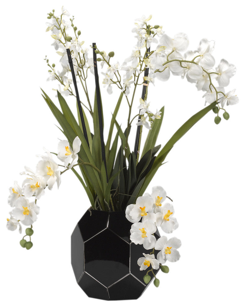 Cream Vanda and Dendrobium Orchids in Black Glass Bowl