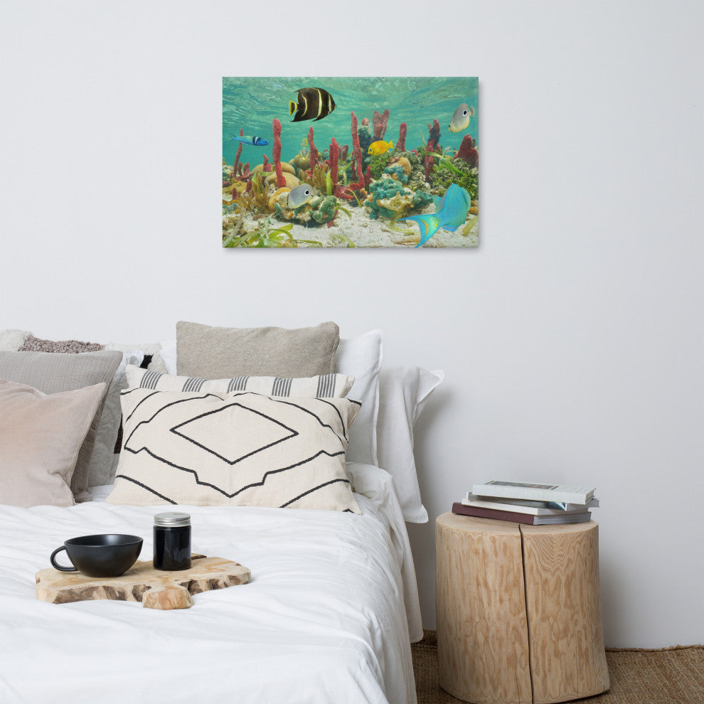 Colorful Tropical Fish Marine Life Coral Reef Wildlife Photo Canvas Art Print, 24" X 36"