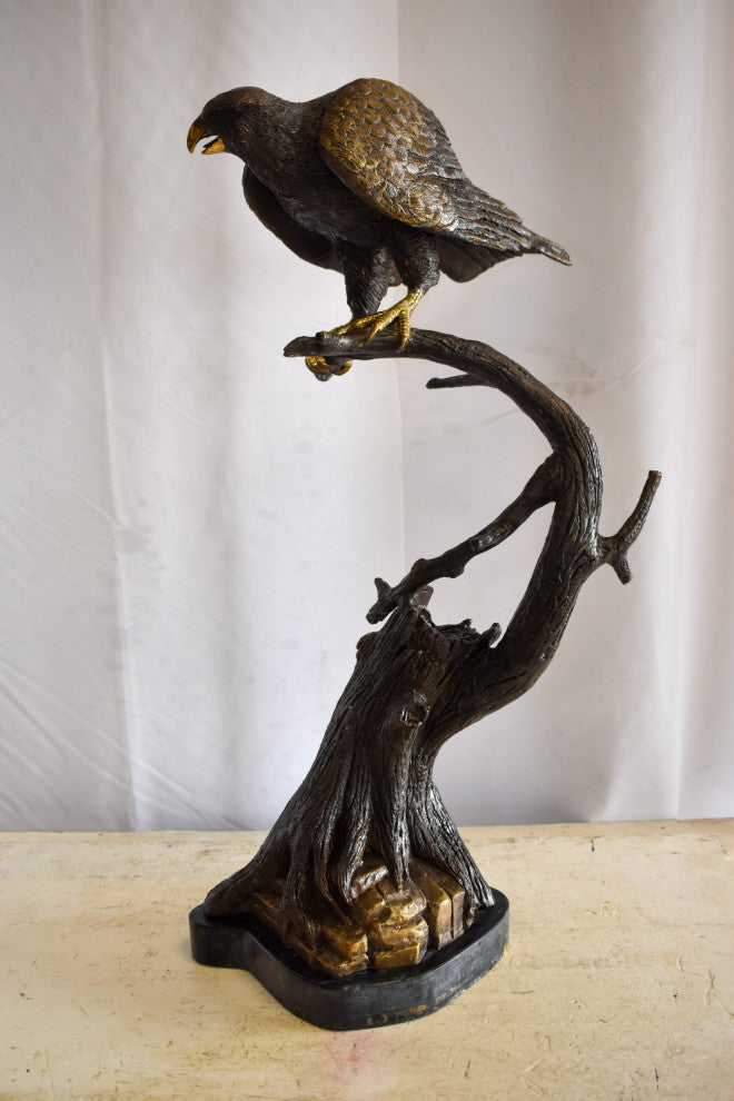 Observant Hawk on Arched Branch Bronze Statue 17" x 19" x 32"H