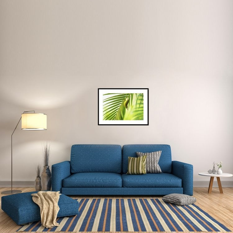 "50 Shades Of Green" Framed Digital Print by Daniele Bariviera, 38"x28"