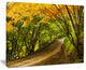 "Country Lane in Green Forest" Wall Art Landscape, 20"x12"