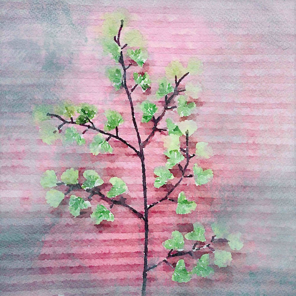 "Pink and Green" Print on Canvas by Irena Orlov