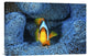 "Clownfish In Blue Anemone" Canvas Giclee by Barathieu Gabriel, 24"x16"
