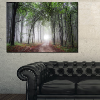 "Light Through Green Fall Forest" Canvas Print, 32"x16"