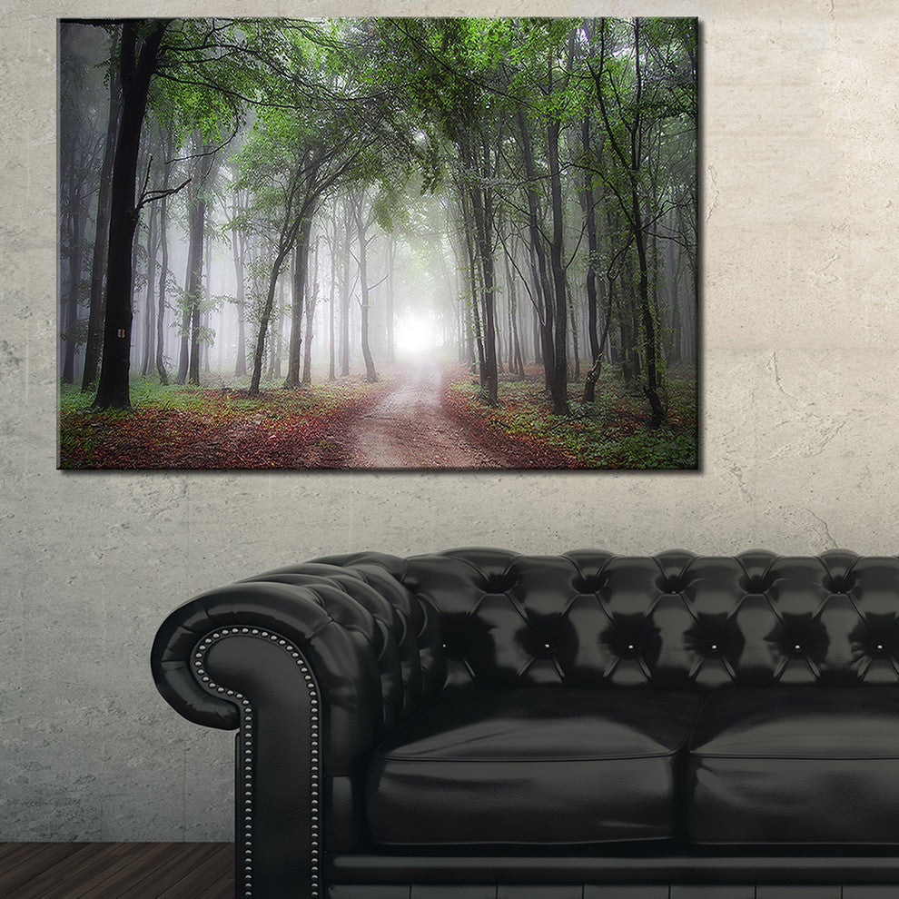"Light Through Green Fall Forest" Canvas Print, 32"x16"