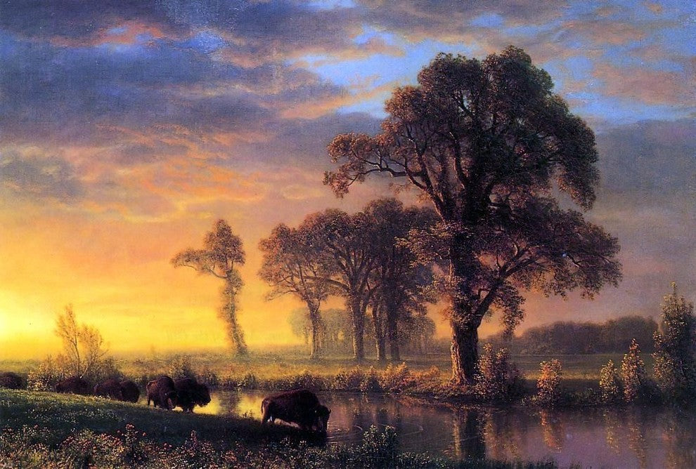 Albert Bierstadt Western Kansas, 18"x27" Gallery Wrapped Canvas Print