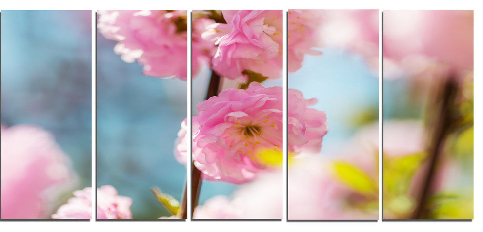 Almond Tree Pink Flowers, Large Flower Canvas Wall Art, 60"x28", 5 Panels
