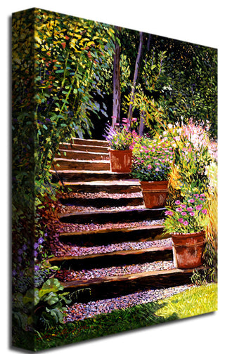 'Pink Daisies Wooden Steps' Canvas Art by David Lloyd Glover