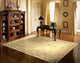 NOURISON CAMBRIDGE IVORY AREA RUG