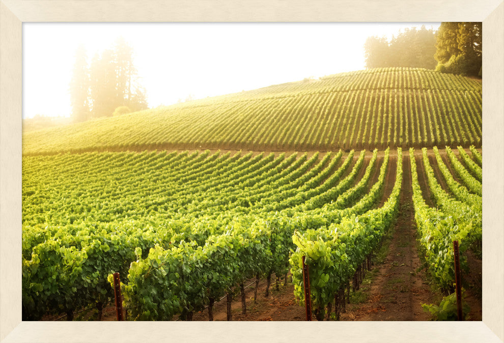 Wine Country Haze 1, Giclee Reproduction Artwork