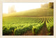 Wine Country Haze 1, Giclee Reproduction Artwork
