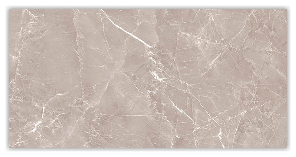 Grigio Grey Polished 24x48 Porcelain Tile