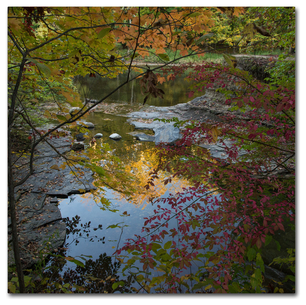 ''Why I Love Autumn 3'' Canvas Art by Kurt Shaffer