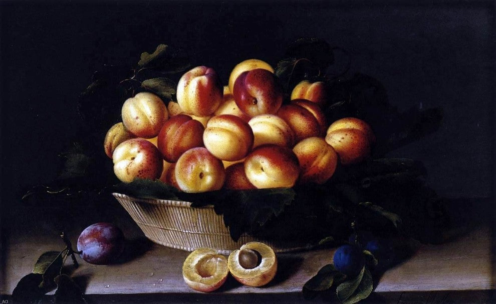 Louise Moillon Basket of Apricots, 18"x27" Wall Decal