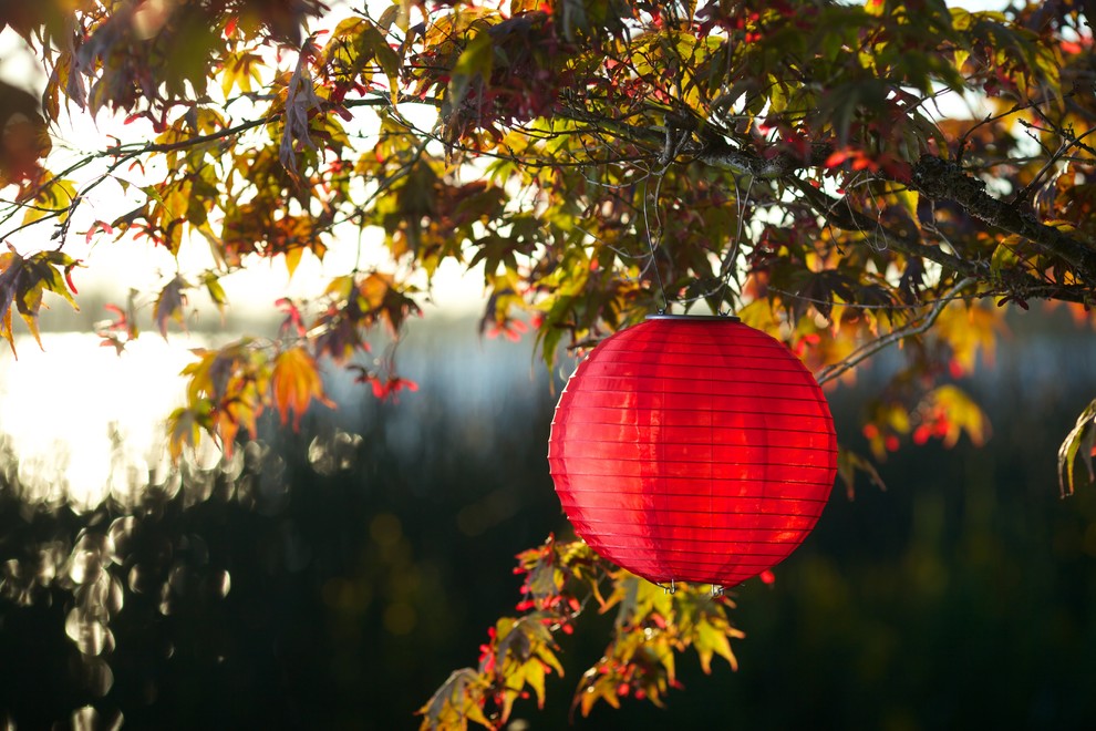 Soji LED Solar Lanterns, Red