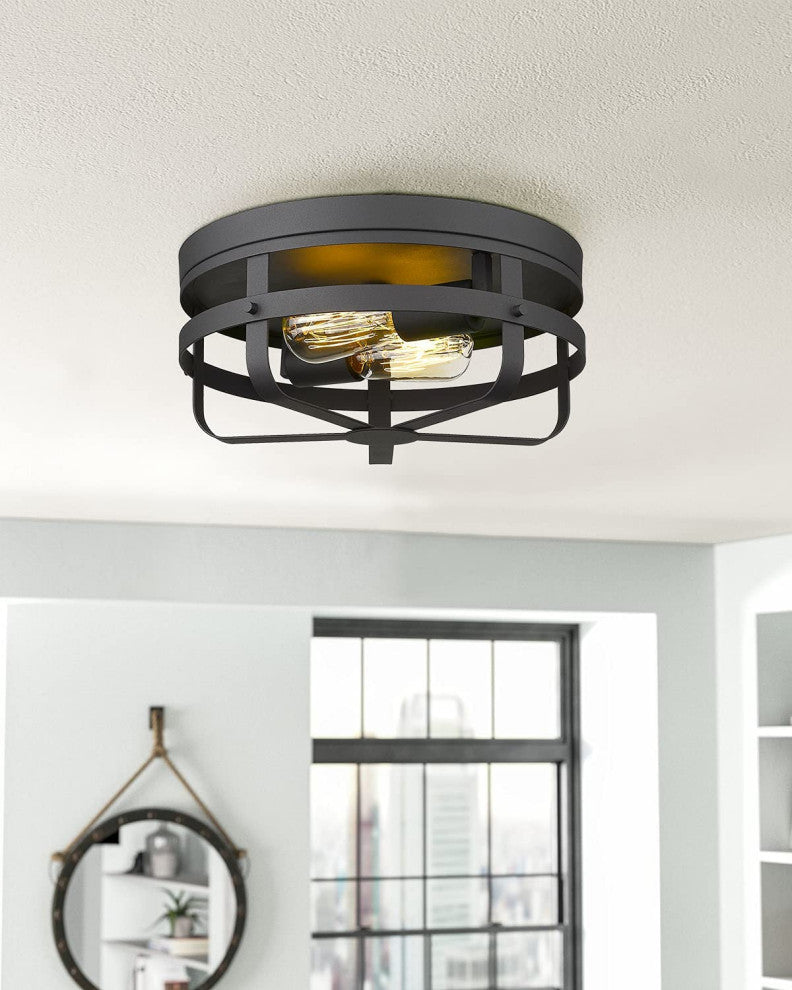 Industrial Close to Ceiling Light Fixture 2 light cage flush mount lighting