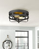 Industrial Close to Ceiling Light Fixture 2 light cage flush mount lighting