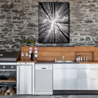 Indoor/Outdoor Wall Decor 'Ceiling' in ArtPlexi, 30"x20"