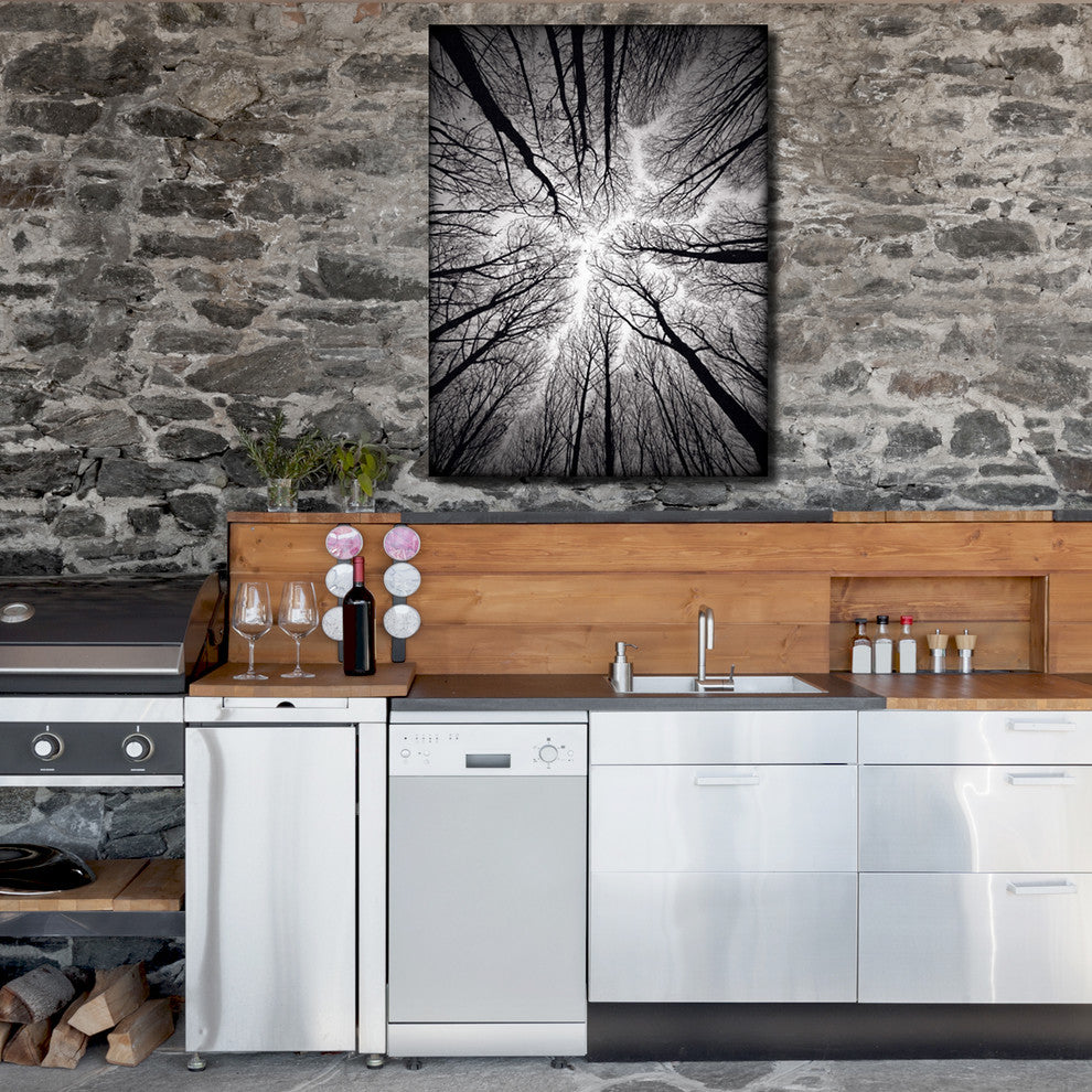 Indoor/Outdoor Wall Decor 'Ceiling' in ArtPlexi, 30"x20"