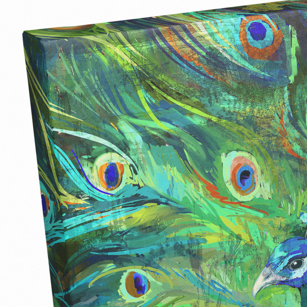 Peacock Power 11x14 Canvas Wall Art
