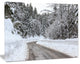 Foggy Winter Road in Slovenia, Large Landscape Canvas Art, 20"x12"