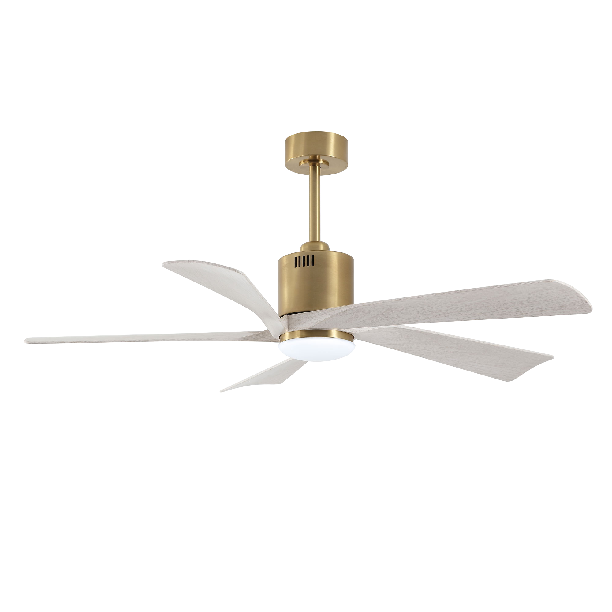 Ceiling Fans