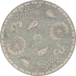 Light Gray Traditional Botanical Area Rug, 4'10" Round