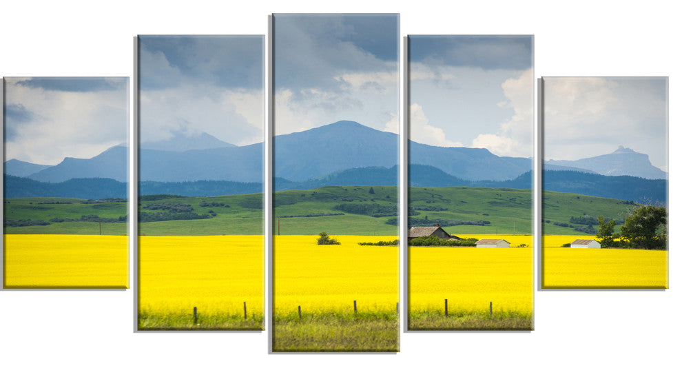 Farm House in Field Of Canola, Landscape Canvas Art Print, 60"x32", 5 Panels