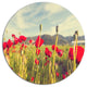Wild Red Poppy Flowers In Field, Flower Round Wall Art, 11"