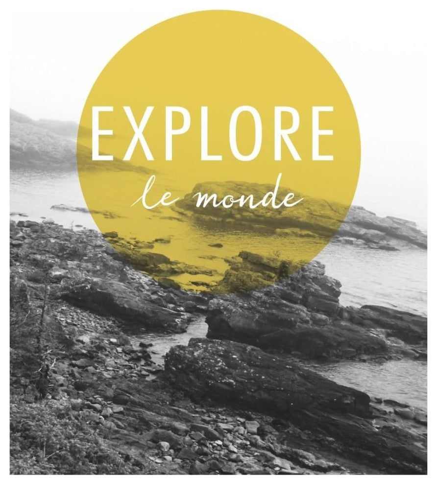 "Explore the World v.2 French" Digital Paper Print by Laura Marshall, 22"x26"
