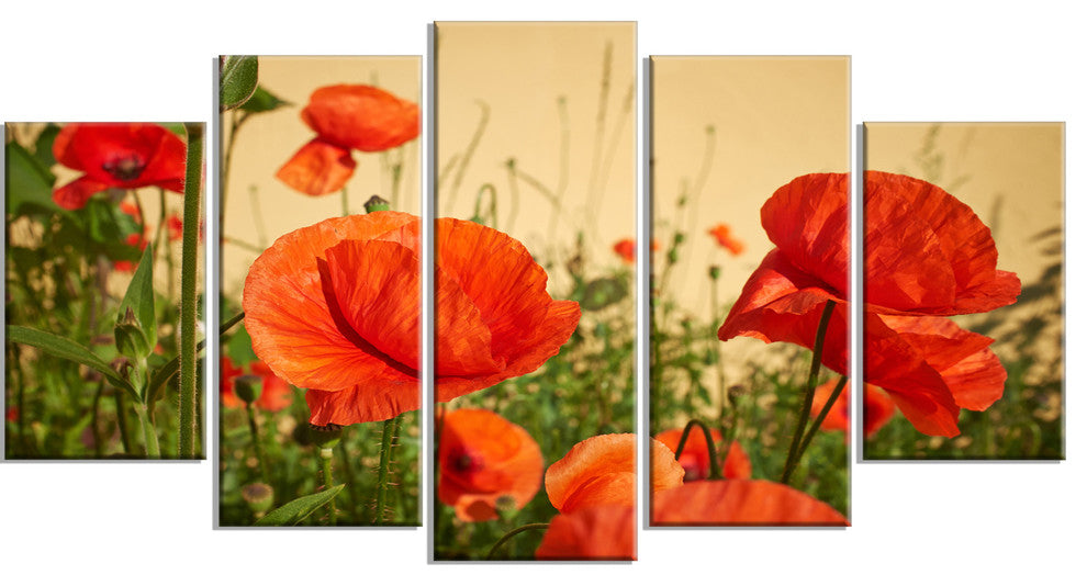 Colorful Red Poppy Flower Field, Flower Artwork on Canvas, 60"x32", 5 Panels