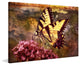 "Beauty in the Rough" Painting Print on Canvas by Robertson