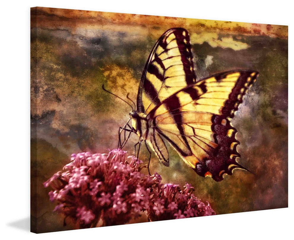 "Beauty in the Rough" Painting Print on Canvas by Robertson