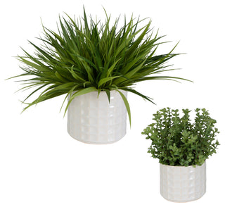 Full white-background shot showing both planters; full product view.