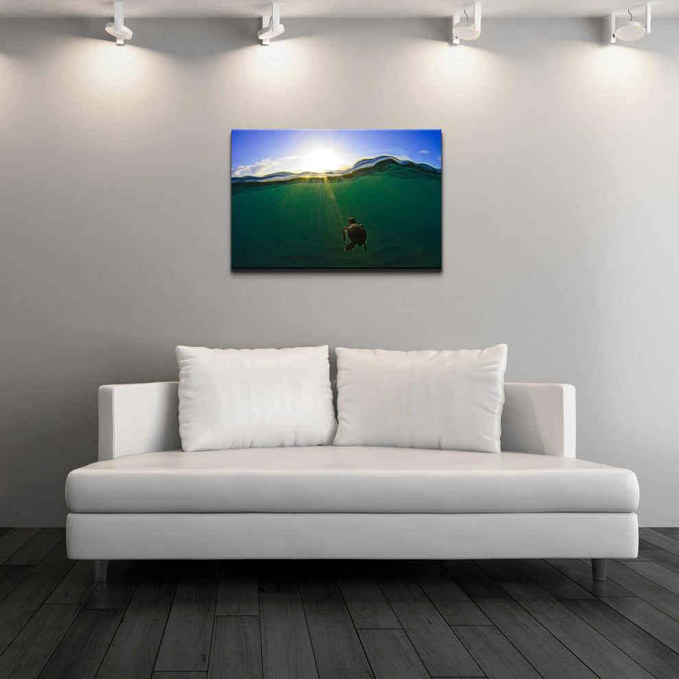 Ready2hangart Christopher Doherty Photography 'Turtle' Canvas Wall Art