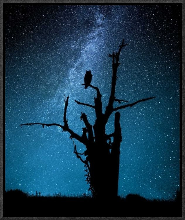 "Alone In The Dark" Framed Canvas Giclee by Manu Allicot, 14x17"