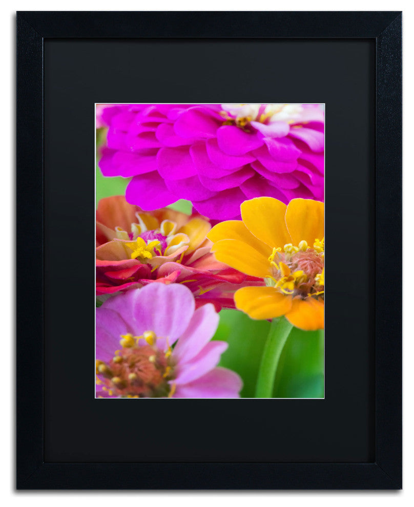 'Bouquet of Inias' Matted Framed Canvas Art by Philippe Sainte-Laudy