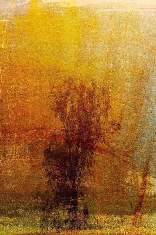 "Griffith Park VII" Painting Print on Canvas by Aryai