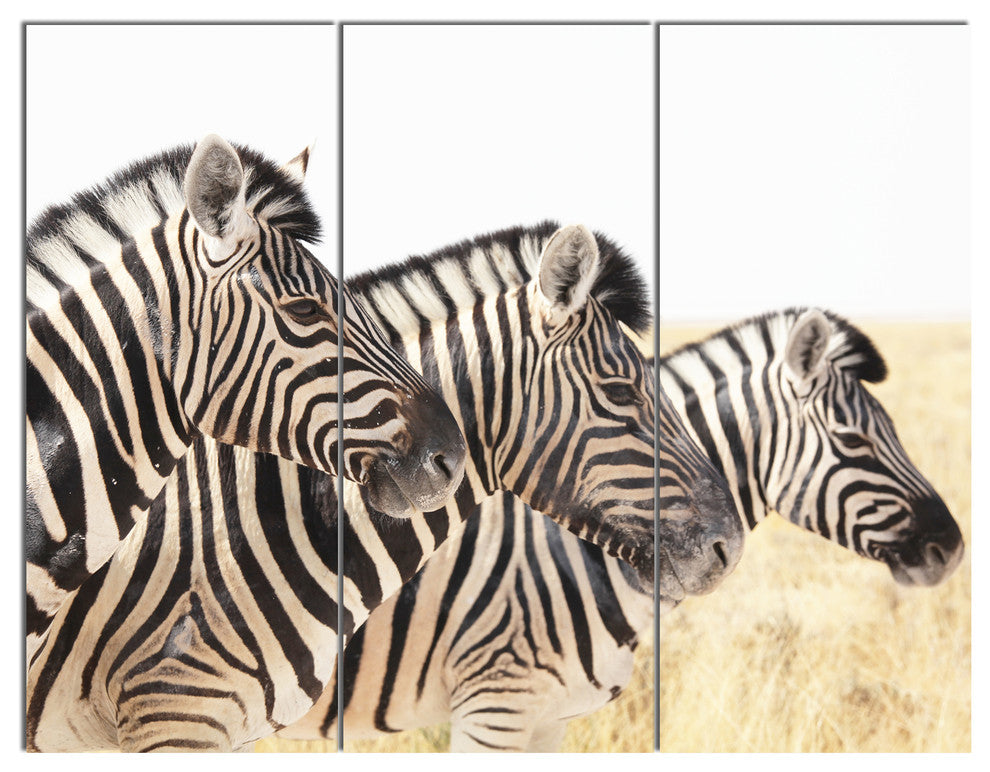 Zebras in A Row in Grassland, African Wall Art Print, 36x28, 3 Panels