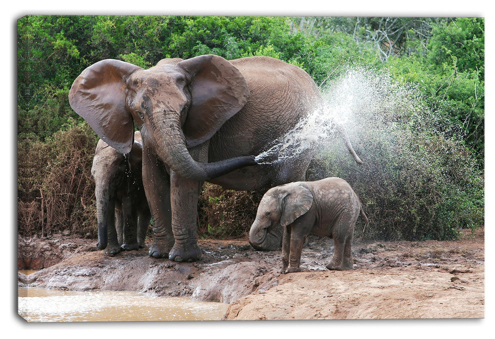 Elephant Spraying Water, African Canvas Art Print, 40"x30"