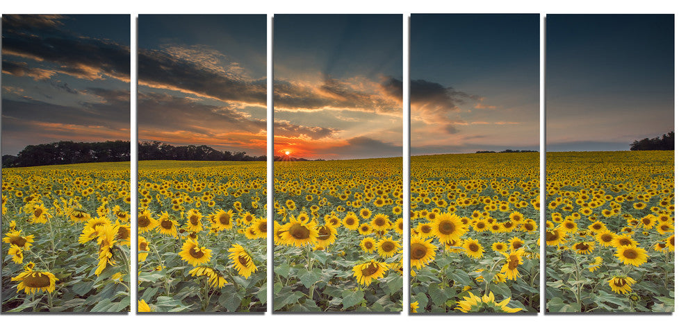 Sunflower Sunset with Cloudy Sky, Large Landscape Canvas Art, 60"x28", 5 Panels