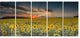 Sunflower Sunset with Cloudy Sky, Large Landscape Canvas Art, 60"x28", 5 Panels