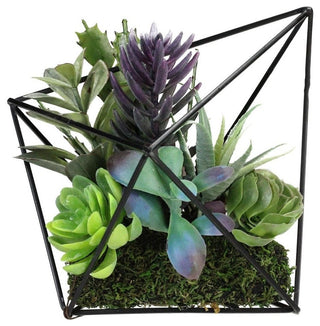 Full, front-facing product view on a uniform white background with no overlays or diagrams.